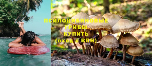 прущие крисы Алексин