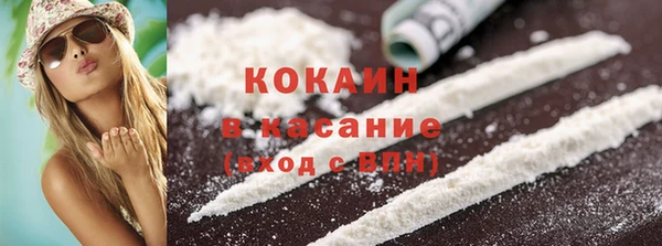 молекула духа Арсеньев