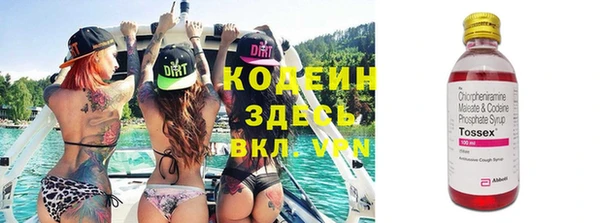 молекула духа Арсеньев