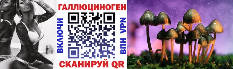 Галлюциногенные грибы Cubensis  где купить наркоту  кракен зеркало  Георгиевск 